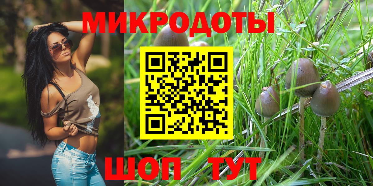 Галлюциногенные грибы прущие грибы  магазин    Димитровград  Вход с VPN  Псилоцибиновые грибы Psilocybe 